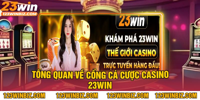 Tổng Quan Về Cổng Cá Cược Casino 23Win